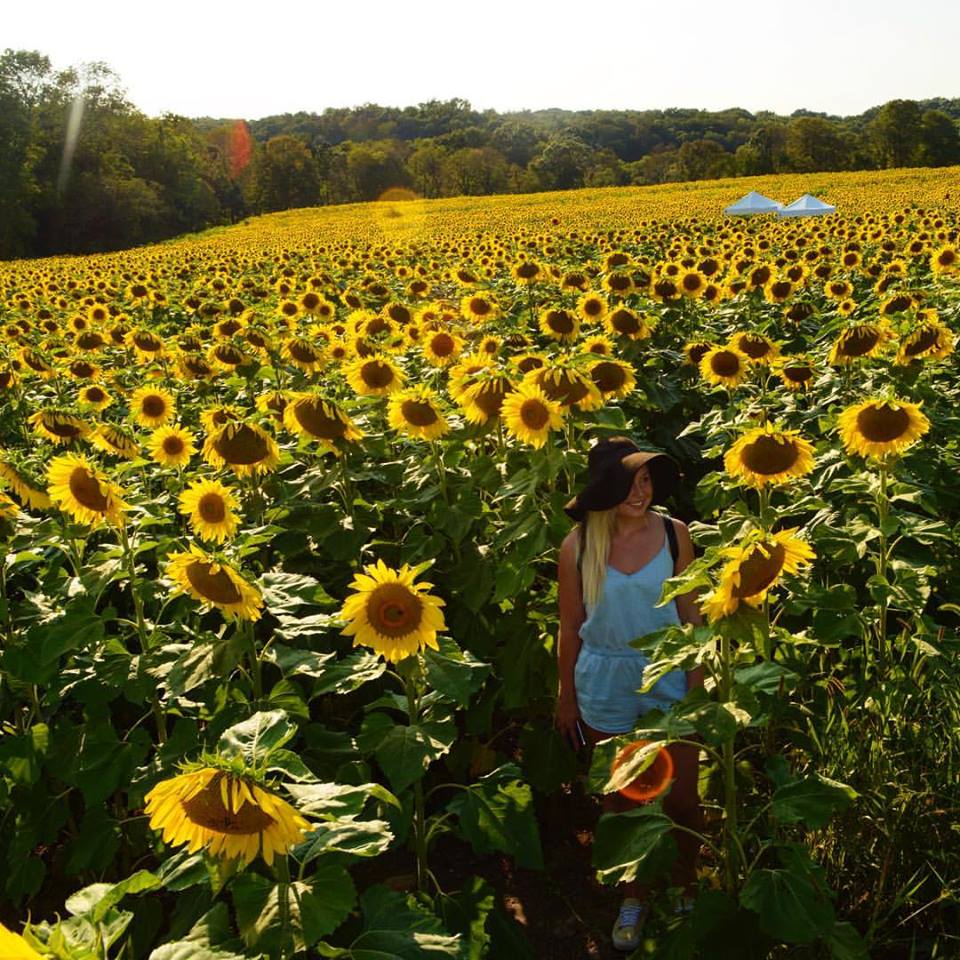 “Have Courage and Be&nbsp;Kind.”