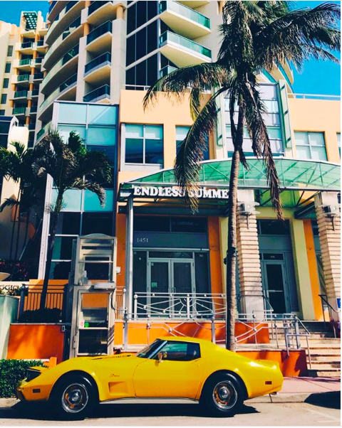 “The Endless Summer”