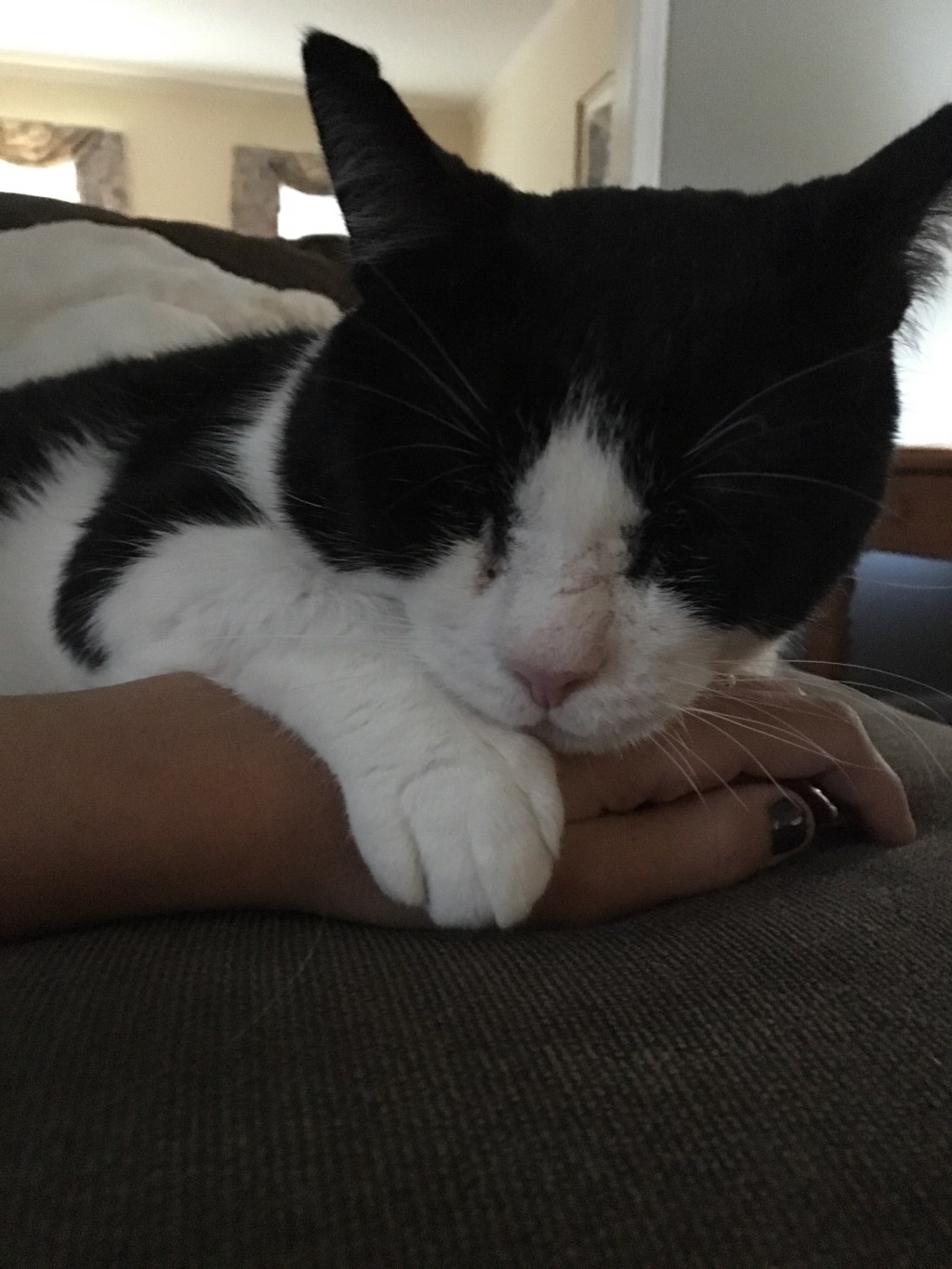 5 Lessons Binx Taught&nbsp;Me