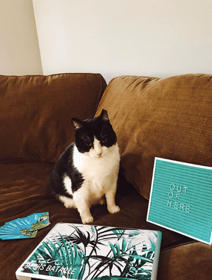 Screen Shot 2018-09-04 at 8.06.24 AM.png