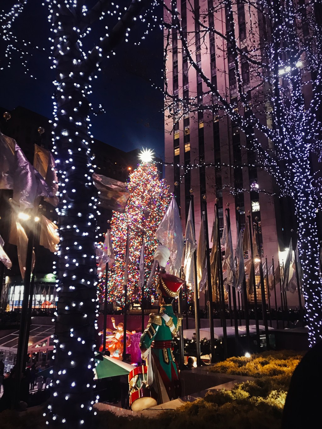 Last Minute Holiday Gift&nbsp;Guide!