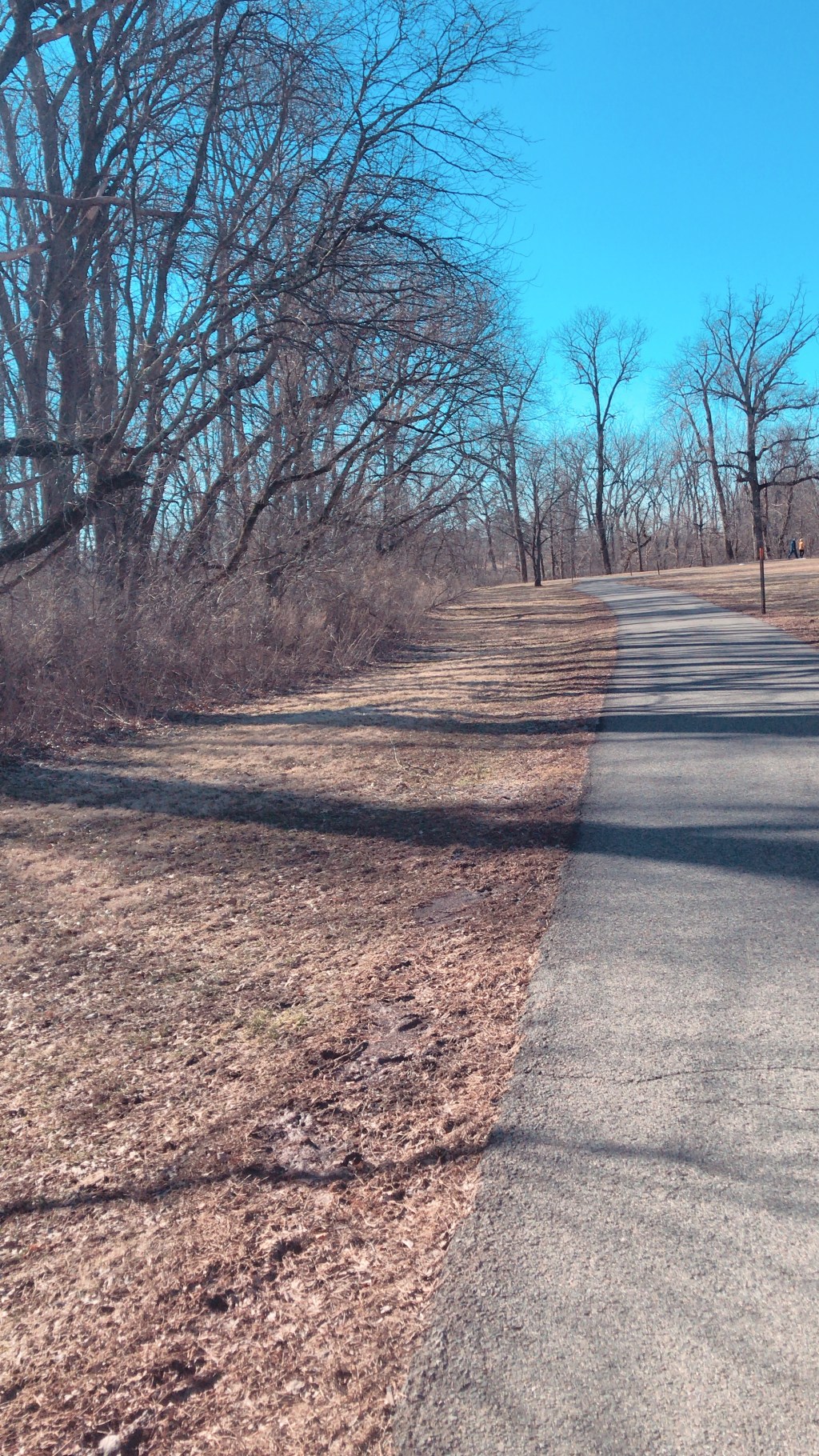 Get Back on&nbsp;Track