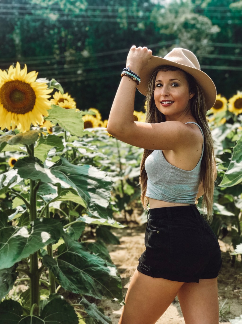 Lessons From Sunflowers