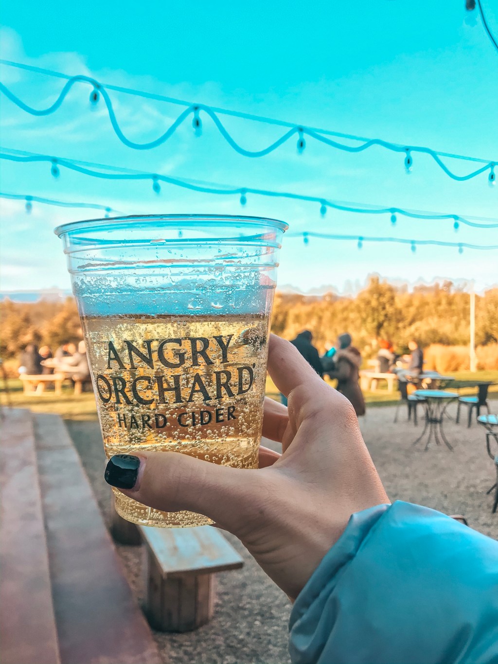 Day Trip to Angry&nbsp;Orchard