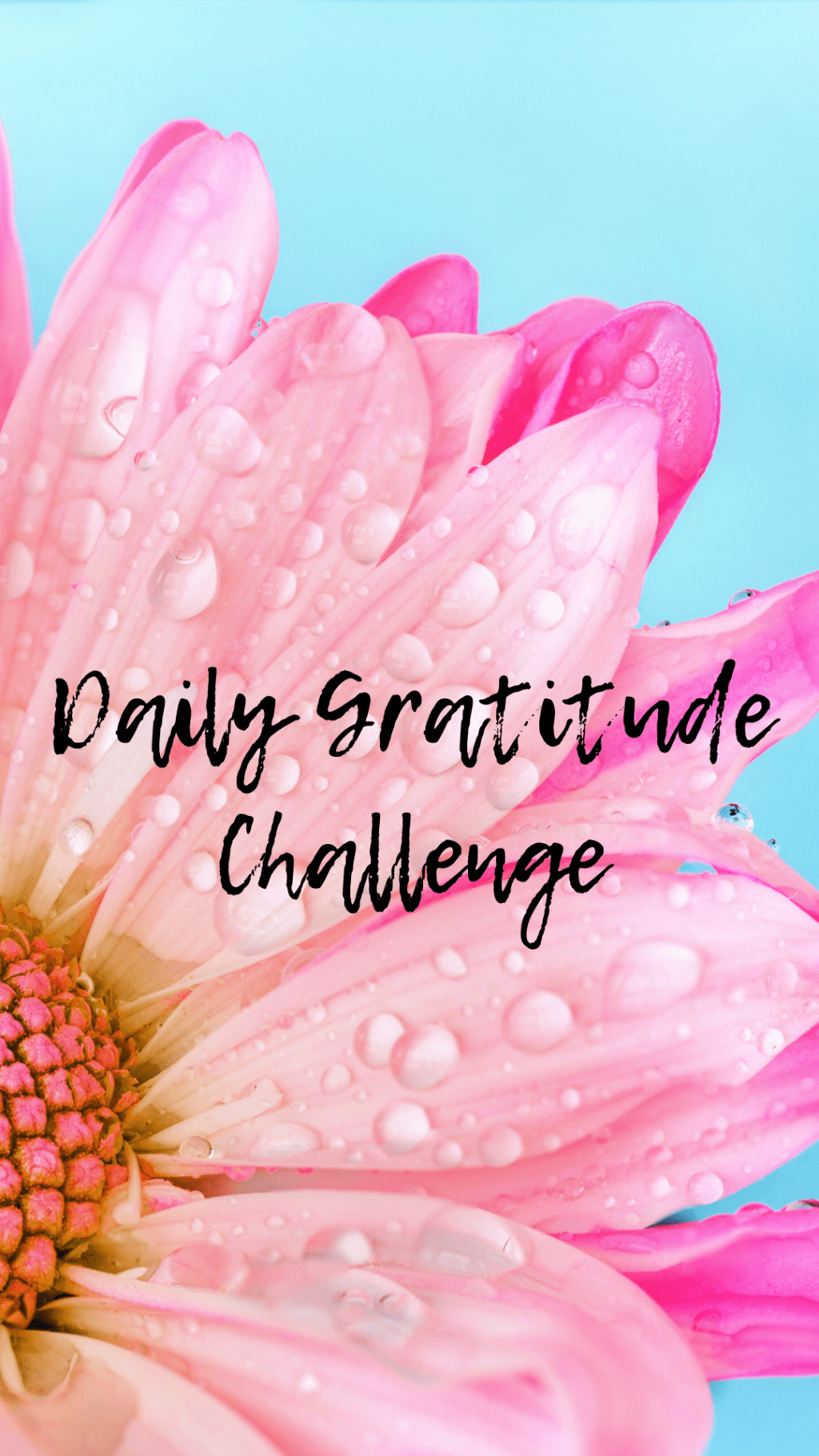 Daily Gratitude Challenge