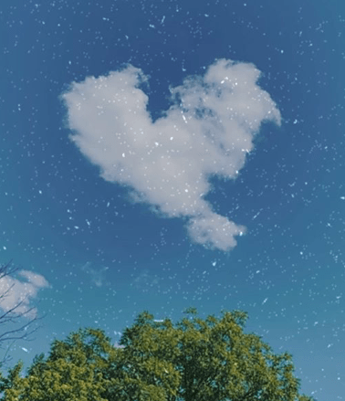 The Little Good&nbsp;Things